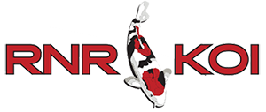 RNR Koi