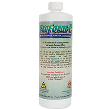 Pro-Form C - 32oz (#PFC2010)