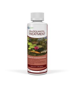 Aquascape Praziquantel Treatment 8oz / 236ml (MPN 81041)