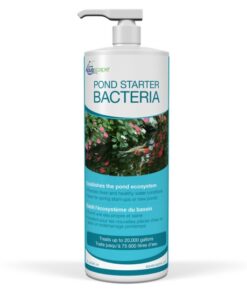 Aquascape Pond Starter Bacteria - 32oz/946ml (MPN 96015) front