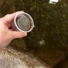 Aquascape QuickFix Pond Gummy (MPN 96083)
