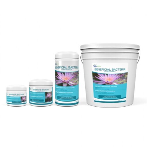 Aquascape Beneficial Bacteria Concentrate