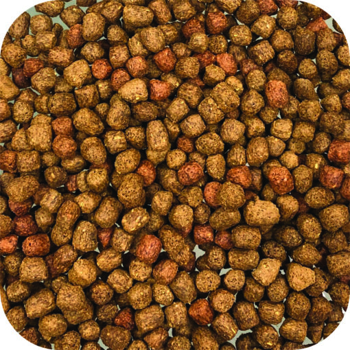 Pond MIcrobe-lift Big Bites Floating Pellets