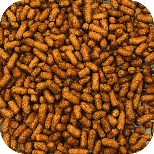 Pond MIcrobe-lift Immuno Food