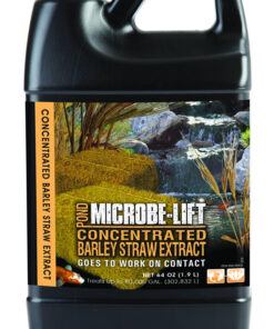 Pond MIcrobe-lift Concentrated Barley Straw Extract 64 oz
