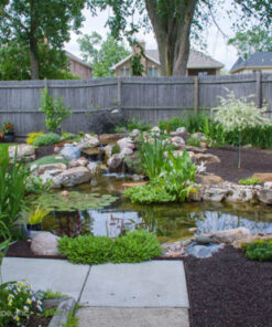 Aquascape Medium Pond Kit 11×16 with Aquasurge® 2000-4000 Pond Pump (MPN 53034)
