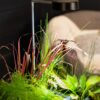 Aquascape AquaGarden Plant Light (MPN 78332)