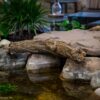 Aquascape Faux Driftwood