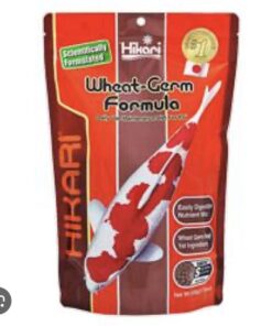 Hikari Wheat-Germ Formula