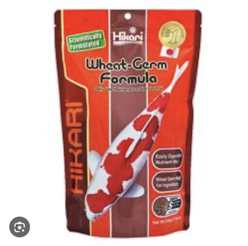 Hikari Wheat-Germ Formula