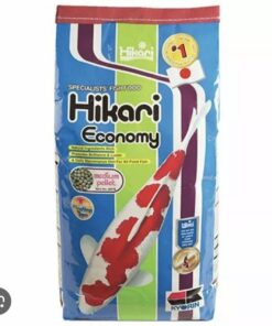 Hikari Economy