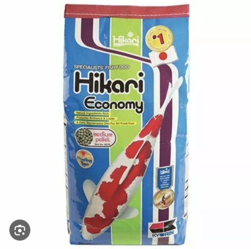 Hikari Economy