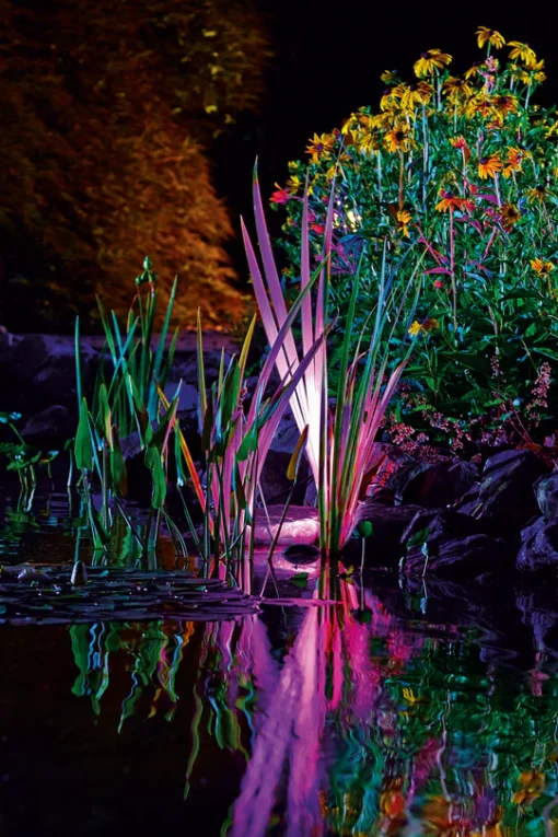 Atlantic-OASE ProfiLux Garden LED and Cloud Controller