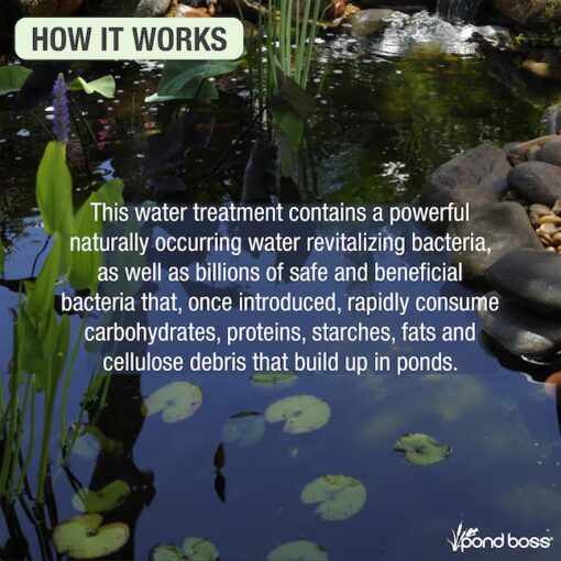 Pond Boss Sludge Remover - Image 2