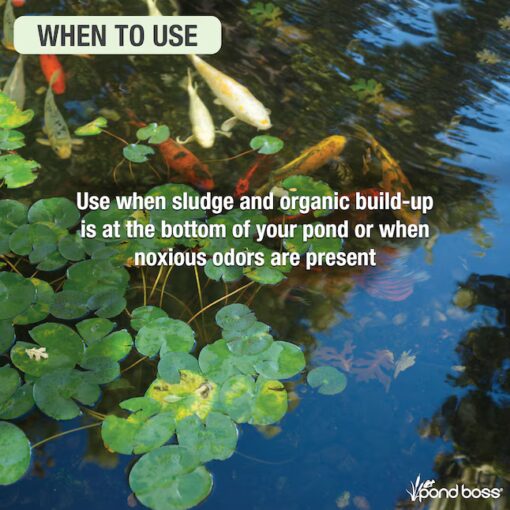 Pond Boss Sludge Remover - Image 3