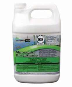 Pond Boss Algaecide/Bactericide, 1 Gallon