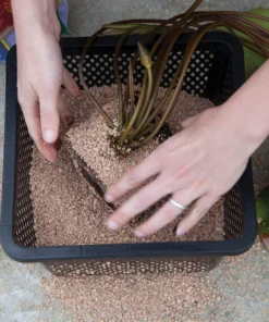 Altantic-OASE Aquatic Plant Basket