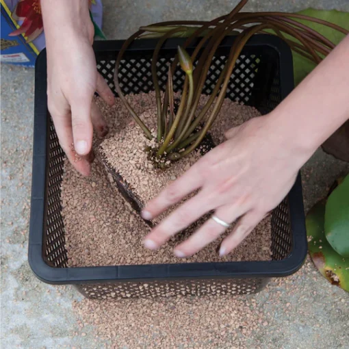 Altantic-OASE Aquatic Plant Basket