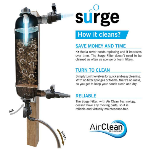 Evolution Aqua Surge Filter (Uses K+ Media and includes an 18 watt UV) - Image 4